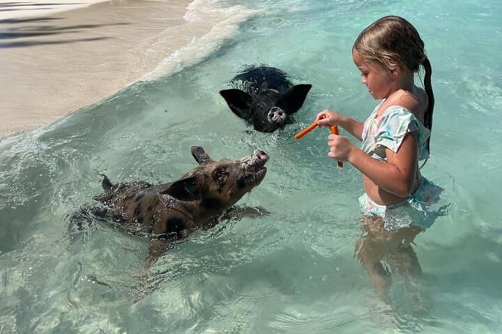 Private 40ft Boat Adventure to Rose Island — Snorkel, Turtles & Private Beaches photo 4