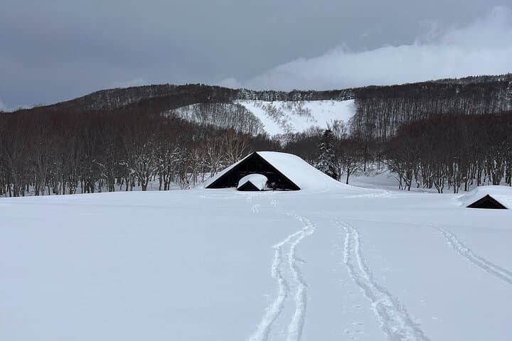 Winter Bites: Snowshoe a Hakkoda Forest and Taste Aomori's Winter Traditions photo 5