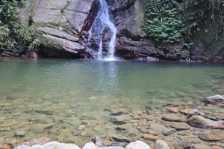 Chasing Waterfalls Experience in Tobago: Rainforest Hikes & Natural Pools photo 4