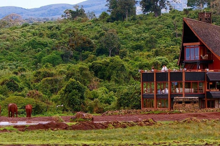 4-Day Aberdares & Samburu Safari: Northern Kenya Wildlife Adventure photo 2