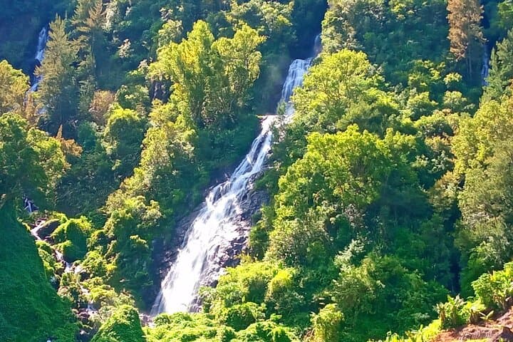 Private Salazie Tour: Hell-Bourg, Bridal Veil & Niagara Waterfalls photo 3