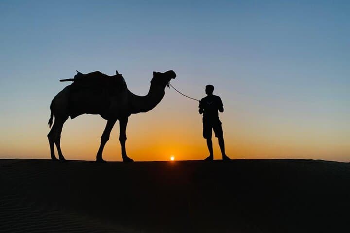 Overnight Camel Safari in the Thar Desert — Jaisalmer Sand Dune Adventure