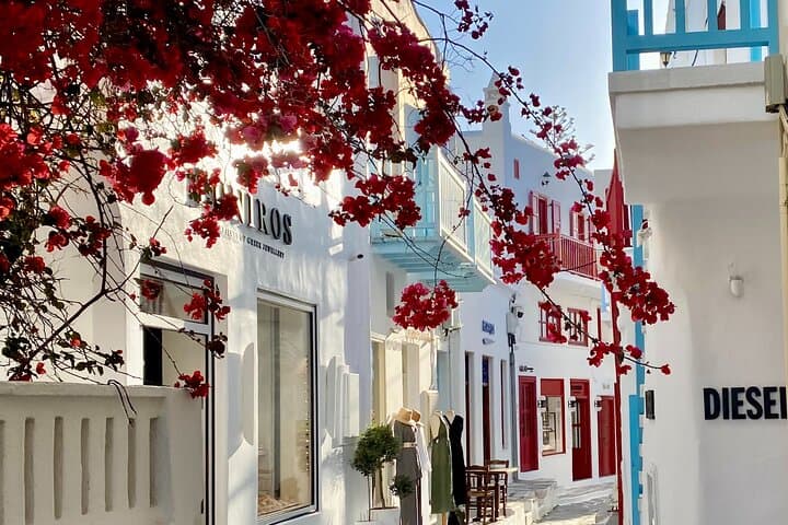 Half-Day Private Mykonos Tour: Windmills, Little Venice & Coastal Viewpoints photo 6