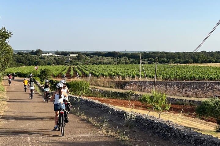 E-Bike Through Valle d'Itria: Locorotondo to Alberobello Day Tour