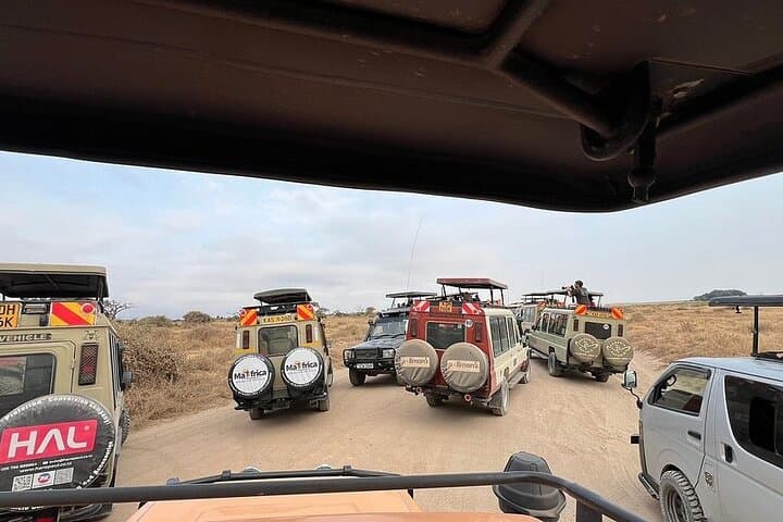 Exploring Nairobi National Park: A Half-Day Urban Safari Adventure photo 6