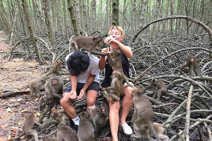 Can Gio Mangrove and Monkey Island Day Tour from Ho Chi Minh City photo 3