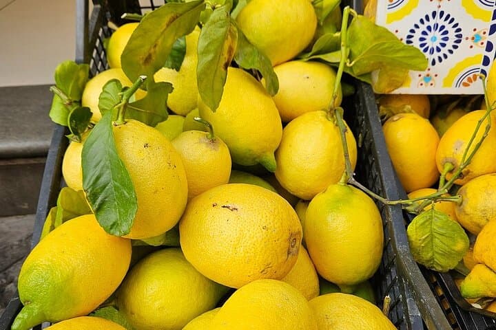 Cooking in a Sorrento Lemon Grove: Hands-On Pasta & Farm-to-Table Lunch photo 6