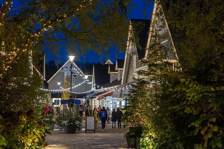 Luxury Private Round-Trip Transfer from London to Bicester Village photo 2