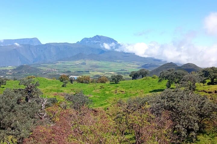 Private Tour to Piton de la Fournaise — Reunion Island Volcano Excursion photo 2