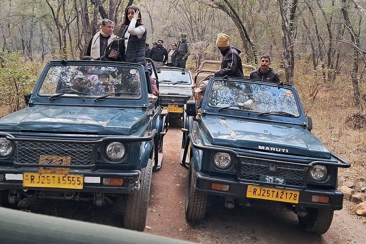 Private Gypsy Safari in Ranthambore Tiger Reserve — Half‑Day Wildlife Drive from Sawai Madhopur photo 4