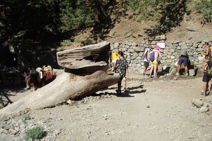 Samaria Gorge Private Day Hike from Chania or Rethymno photo 6