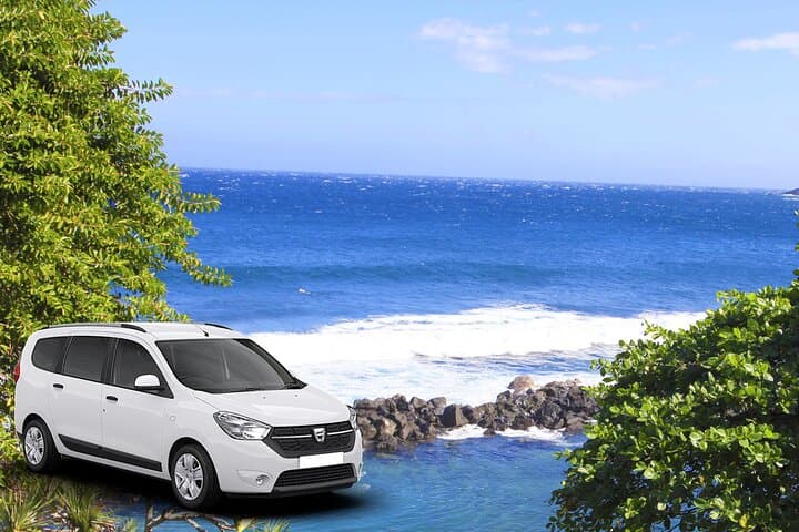 Wild South Réunion Private Tour: Langevin Waterfall, Cap Méchant & Lava Road photo 1