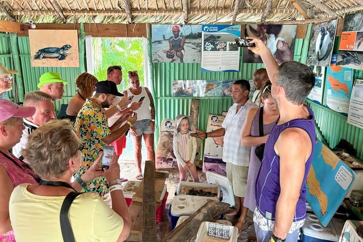 Saona Crusoe VIP from La Romana — Remote Saona Island Beaches, Natural Pool & Turtle Project photo 6
