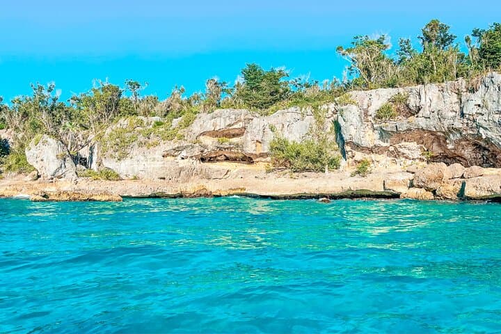 Saona Crusoe VIP from La Romana — Remote Saona Island Beaches, Natural Pool & Turtle Project photo 2
