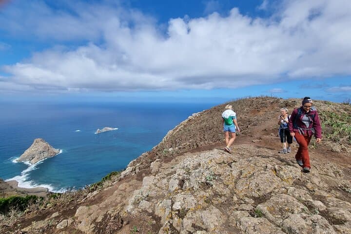 Hidden Tenerife: Anaga Reserve Guided Hike from Chamorga