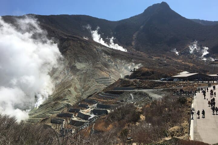Full-Day Hakone Tour: Owakudani Views, Lake Ashi Cruise & Onsen photo 4