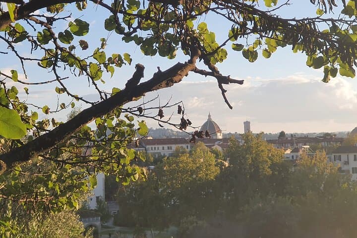 Hidden Parks of Florence: Guided Walk and Picnic in Stibbert, Orticoltura & Parnaso photo 5