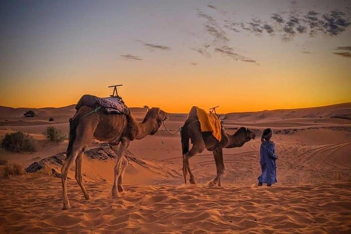3-Day Private Luxury Desert Tour from Fes to Marrakech via Merzouga photo 1
