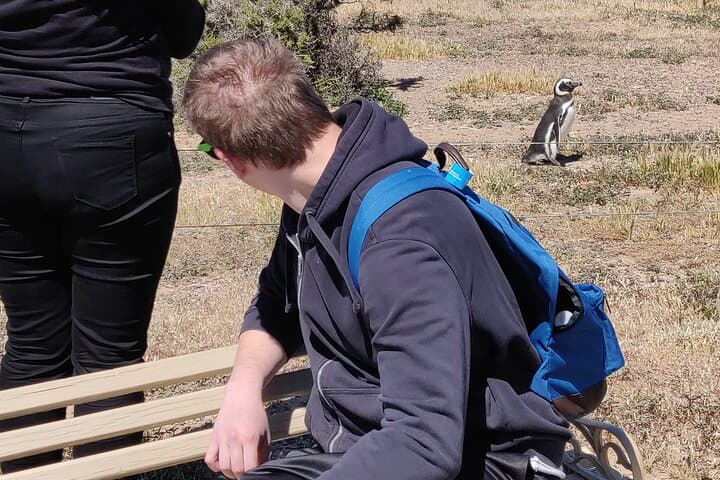 Punta Tombo Penguin Walk: Full-Day Wildlife Tour from Puerto Madryn photo 4