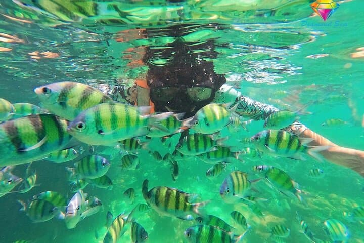Half-Day 3 Khai Island Snorkel & Swim Tour from Phuket photo 2