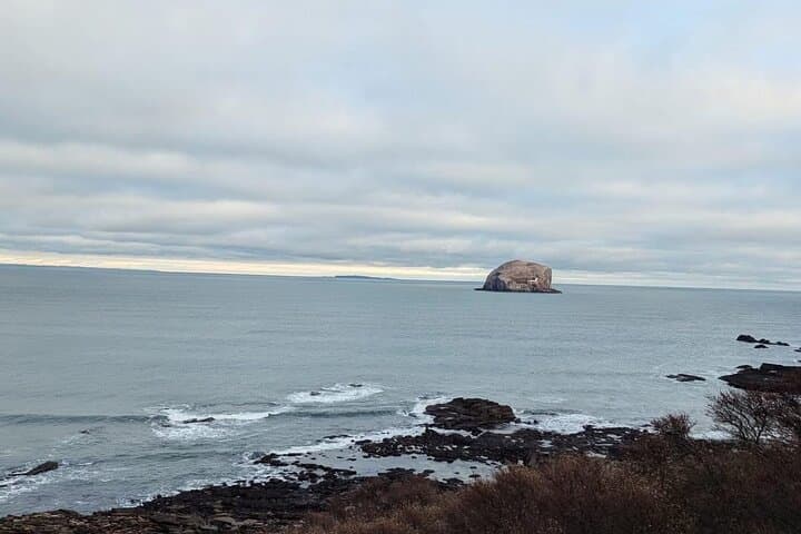 North Berwick Day Tour: Seabirds, Sand and Tantallon Castle on Scotland’s East Coast photo 5