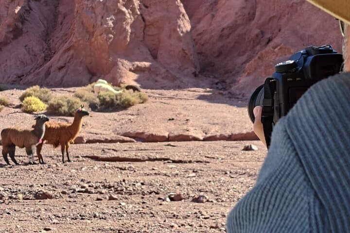 Three-Day Private 4x4 Tour of the Hidden Desert: Salt Ranges, Hot Springs & High Andean Lagoons photo 2