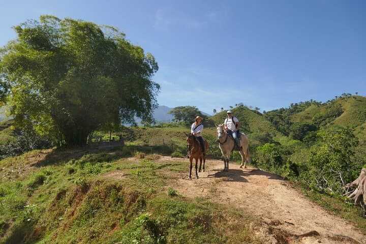 Horseback Jungle Ride and River Swim from Palomino