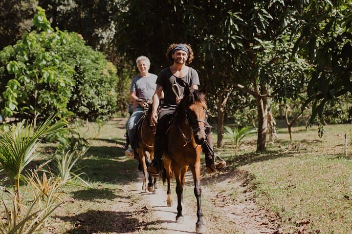Horseback Jungle Ride and River Swim from Palomino photo 3
