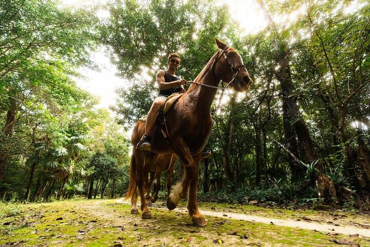 Puerto Morelos Jungle Combo: Horseback Riding, ATV, Zipline, Cenote & Tequila Tasting