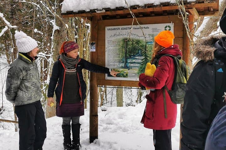 Lahemaa Three Waterfalls Hike — Joaveski, Nõmmeveski & Vasaristi Day Trip from Tallinn photo 2