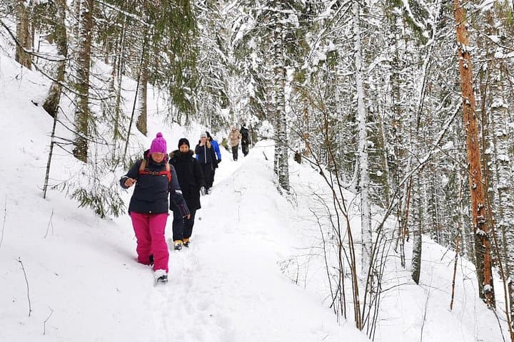Lahemaa Three Waterfalls Hike — Joaveski, Nõmmeveski & Vasaristi Day Trip from Tallinn photo 3