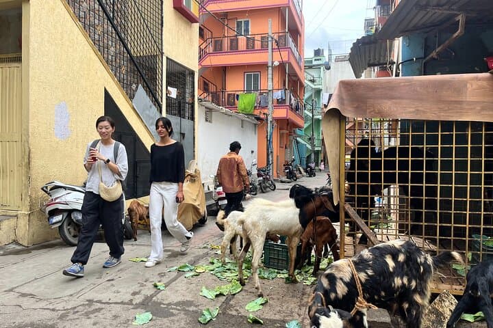 Guided Walk Through Ejipura Slums: Community-Led Tour in Bengaluru photo 6