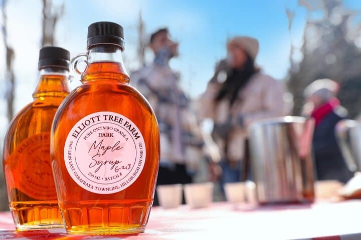 Sugar Bush Day Trip from Toronto: Maple Taffy, Sap Tasting & Farm Brewery Flight photo 3