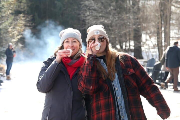 Sugar Bush Day Trip from Toronto: Maple Taffy, Sap Tasting & Farm Brewery Flight