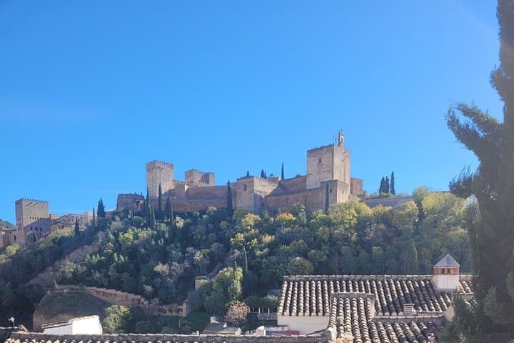 Taste Granada From the Miradores: Gastronomic Route & Tasting Menu at San Nicolás photo 6