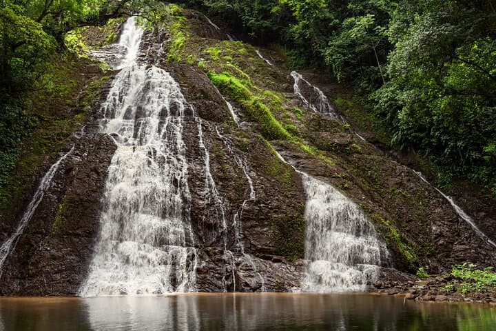 ATV to Jaguar Waterfalls: Private 4-Hour Puntarenas Waterfall & River Swim Tour photo 5