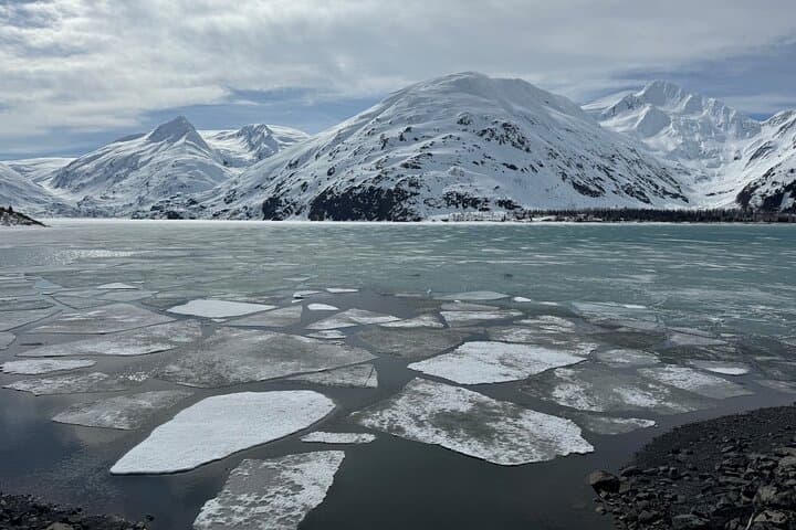 Turnagain Arm Winter Scenic Tour: Alyeska Tram, Beluga Point & Wildlife Viewing photo 2