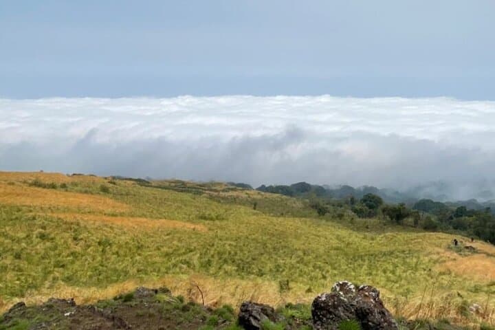 Mount Cameroon 3-Day Summit Trek: 2 Nights on Africa's Highest Volcano photo 3