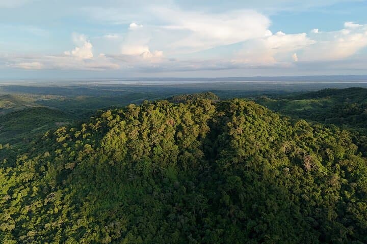 Birdwatching at Los Loros Reserve: Parrots, Toucans & Endemics Near Cartagena photo 4