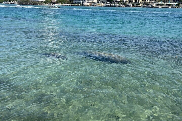 Paddle Jupiter’s Sawfish Bay: Family-Friendly SUP Tours & Sunset Sessions photo 3