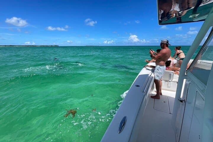 Private Luxury Boat Charters Key West — Snorkel, Fish & Sandbar Cruises photo 6