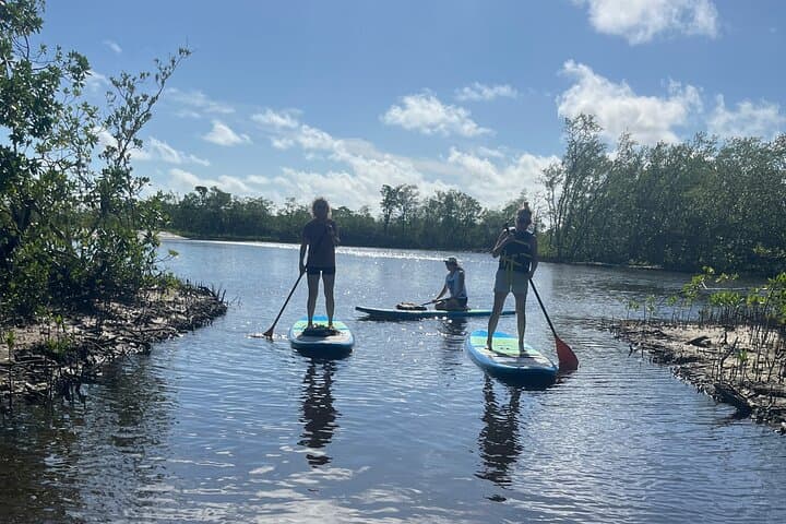 Paddle Jupiter’s Sawfish Bay: Family-Friendly SUP Tours & Sunset Sessions photo 4