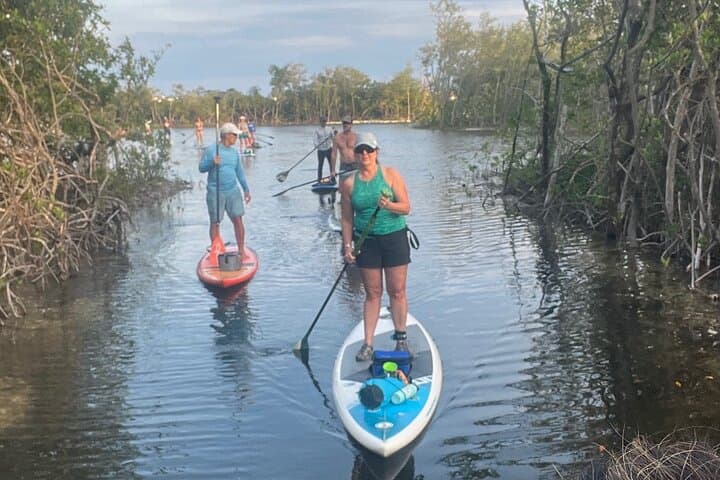Paddle Jupiter’s Sawfish Bay: Family-Friendly SUP Tours & Sunset Sessions photo 5