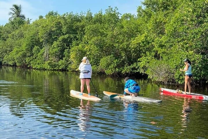 Paddle Jupiter’s Sawfish Bay: Family-Friendly SUP Tours & Sunset Sessions photo 6