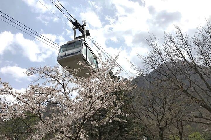 Seoraksan & Yeongrangho Cherry Blossom Day Trip from Seoul: Hike Seorak and Lake Blooms photo 3