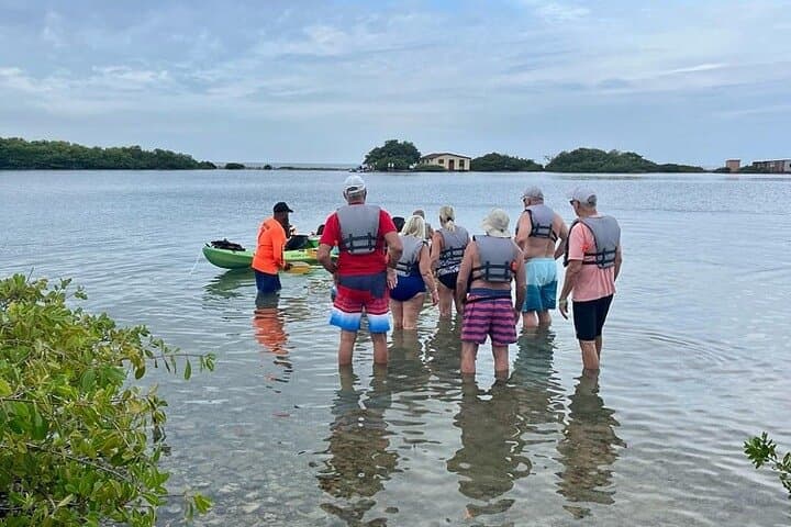 Sea Glass Island Aruba Kayak Tour — Kayak to Sea Glass & Turtle Encounters photo 2