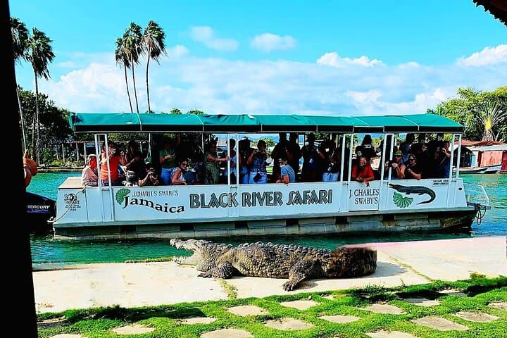 Black River Safari and YS Falls: Full-Day Combo from Negril