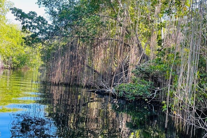 Black River Safari and YS Falls: Full-Day Combo from Negril photo 6