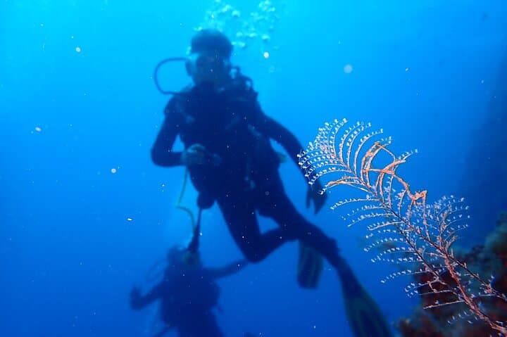 PADI Open Water Diver Course in Taormina | Isola Bella Scuba Certification photo 4