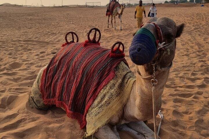 Dubai Lahbab Desert Safari: Dune Bashing, Camel Rides & Cultural Camp photo 2